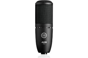 AKG P120 MICROPHONE